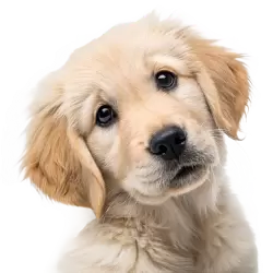 Imagen PNG para descargar